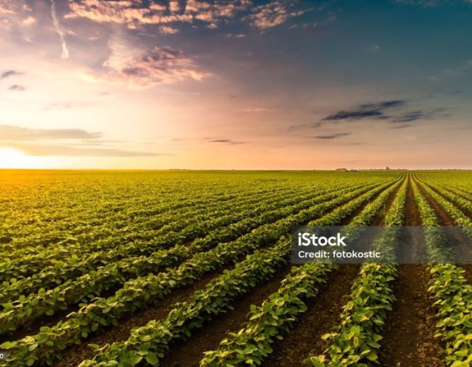 Kroz Javni poziv unapređenja poljoprivrede i ruralnog područja u 2026. godini osigurano 240.000 eura