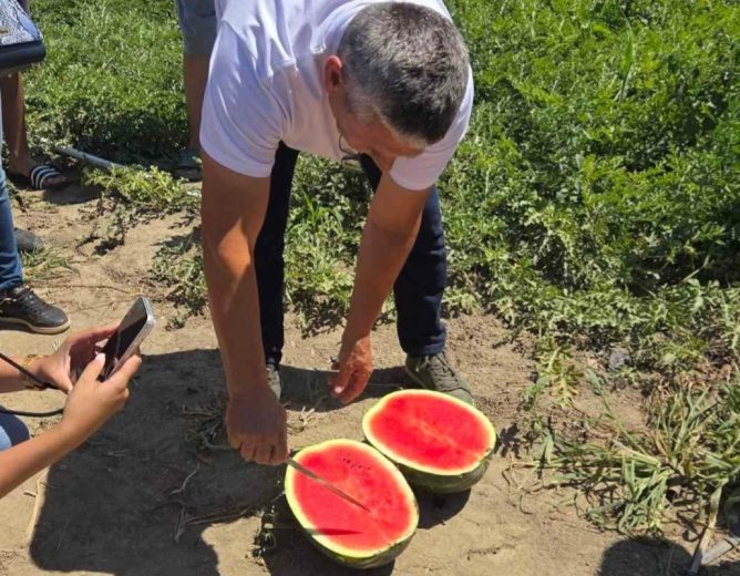 Dani lubenica u Soljanima: Vukovarsko-srijemska županija predvodi domaću proizvodnju