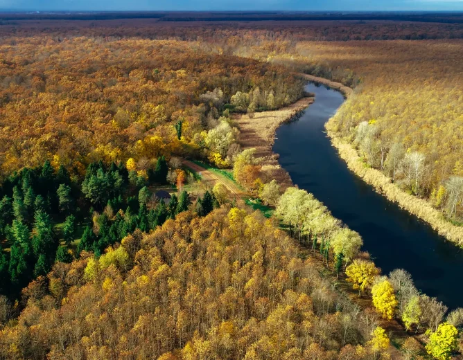 FOREST4EU u finalu Izbora za najbolji EU projekt u Hrvatskoj za 2026. godinu