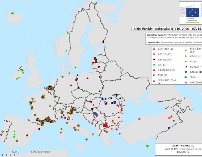 Obvezna provedba svih biosigurnosnih mjera u cilju suzbijanja afričke svinjske kuge